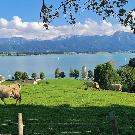 Alpina Zon-appartement Met Xl-terras * Füssen
